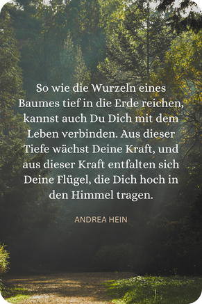 So tief wie die Wurzeln eines Baumes in die Erde reichen, so kannst auch Du Dich mit dem Leben verbinden.