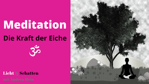 Meditation: Die Kraft der Eiche