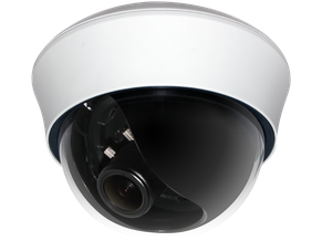 IN DOOR IP DOME TYPE