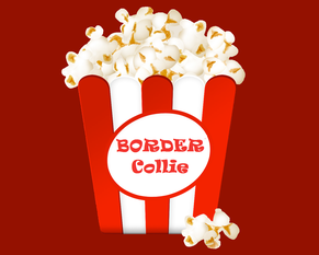 Border Collie, o melhor amigo dos filmes!