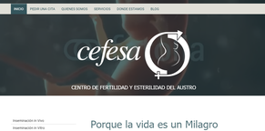 Creación de página Web Cefesa.org