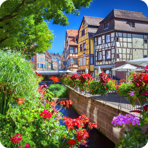 Private tours in English around Colmar with a licensed guide