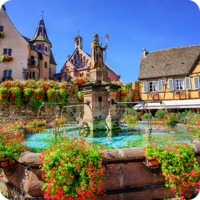 Excursions en Alsace en français avec un guide agréé