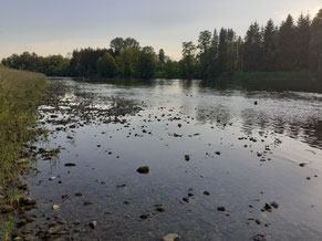 An der Traun und kein Abendsprung!