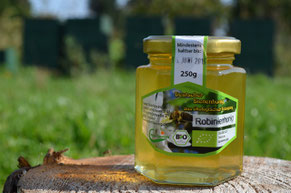 Der goldene Robinienhonig der Honigernte 2014 unserer Imkerei Ökohof Fläming vor den Bienenständen. Die Bienenkästen im Hintergrund sind grün, lediglich die Fluglöcher besitzen farbliche Markierungen.