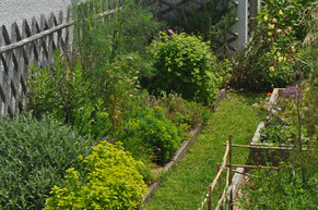 Jardin aromatique et médicinal - Photo Anne Lavorel