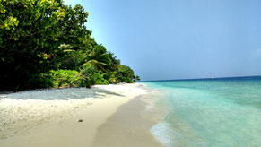 Island perfection on Dharavandhoo, the Maldives. Dante Harker