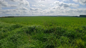 Le climat en Picardie, Hauts de France. Le bassin Artois Picardie vu par le Courrier Picard. 