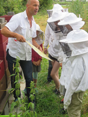 DEUS IN MINIMIS MAXIMUS! - Bienenfest in Wißmar - Kath. Pfarrei St. Anna Biebertal