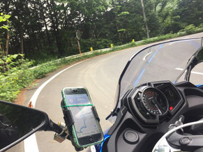 緑の中のワインディング
