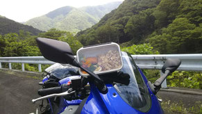 P5 大自然の中!弁当
