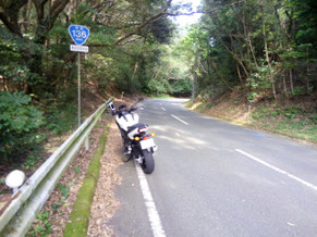 P4　R136　南伊豆　快走路