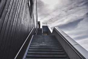 Steps of the Executive Search Process
