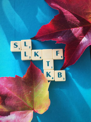 Zwischen 2 Baumbblättern liegen die Scrabble-Steine S+L und L+K-F sowie T und K+B. Symbolisiert das Coaching-Angebot für Schulleitungen, Lehrkräfte, Lehrkräfte in Funktionsstellen, schulische Teams, Kollegiale Beratung und Supervision.