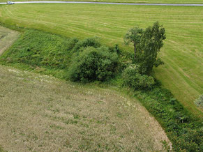 Foto: Lothar Herzig, Biotop Feuchtgebiet Dornhecke Eichborn