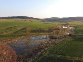 Foto: Lothar Herzig, Biotop Quellsumpf Gieselweiher