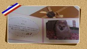 アンちゃんのパパとママ 有難うございます♡