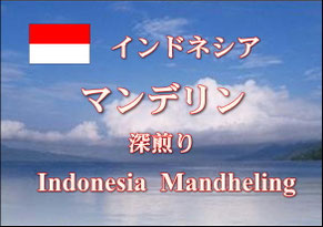 インドネシア　マンデリン　ブルーリントン