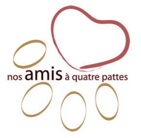 nos amis quatre pattes