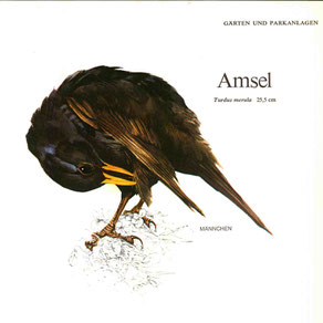 Foto: Das Reader's Digest Buch der Vogelwelt Mitteleuropas, Verlag DAS BESTE GmbH, 1973.