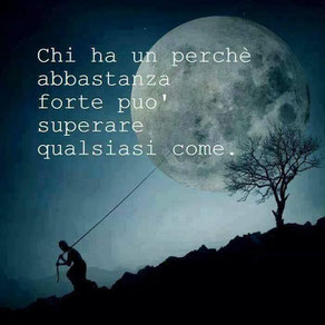 guarda il video