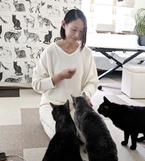 府中市の猫専門ペットシッター（キャットシッター）がご自宅で猫のお世話をしている様子