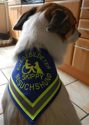 Besuchshund, Therapiehund, Begleithund, Halstuch, Kenndecke
