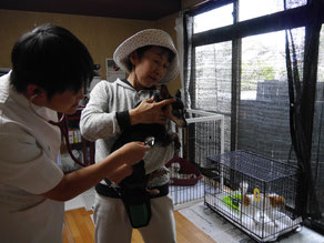 注射が出来ない子は証明をかいてもらい…