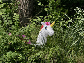 Einhorn Urlaub Mecklenburg