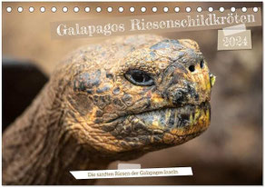Island Kalender 2022