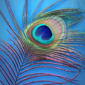 Een traject van 3 tot 6 maanden, met ruimte om te oefenen, reflecteren en verdiepen. We werken aan rust, focus en geloofwaardigheid in spreken en leidinggeven.