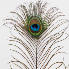  Eén dagdeel – één vraagstuk Een sessie van 2 of 4 uur waarin we werken aan wat op dit moment aandacht vraagt. Je vertrekt met helderheid, praktische handvatten en hernieuwde rust.