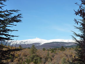 La Combe de Canaud : 24 novembre 2013