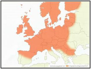 Prevalence of Anaplasma in Europe
