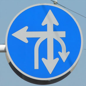 指定方向外禁止。異形矢印標識。千葉県市原市にある。