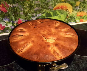 2. Variation des Apfelkuchen-Rezeptes von K.D. Michaelis: Selbstgebackener Pfirsich-Apfel-Vanillepudding-Kuchen