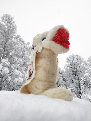 Les idoles s'ensauvagent...