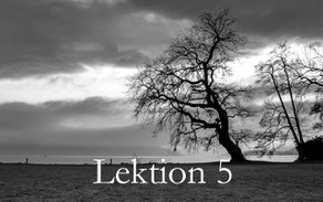 Lerne im Fotokurs die Bedeutung der Bildgestaltung (Perspektiven, Formate, Regeln)