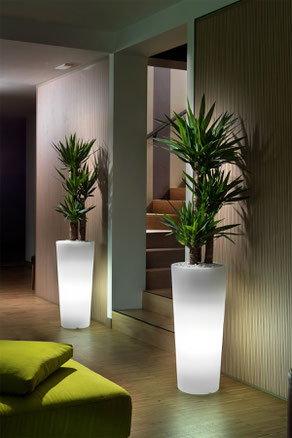 lyxo günstig kaufen vase mit LED beleuchtung