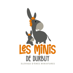 Les Minis de Durbuy | Elevage d'ânes miniatures à Tohogne