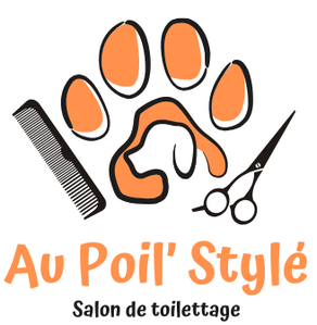 Site de aupoilstyle !