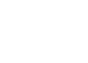 IBF-Solutions Logo