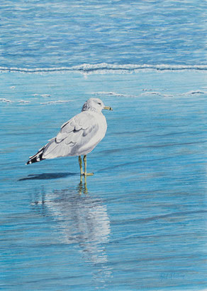 Acrylic painting of ocean seagull reflecting on beach - "Reflecting"