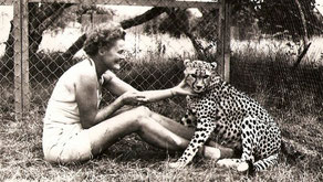 Joy Adamson e il ghepardo Pippa