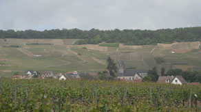 The Grand Cru village of Oger