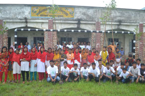 They planted seedlings around the school.