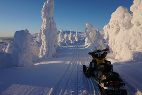 Schneemobiltour mit Ways of Lapland