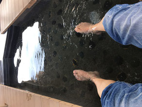 道の駅すばしり!足湯!快適
