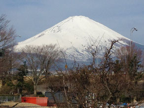 御殿場降りたら富士山!
