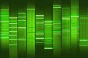 als Trägersubstanz für die Gelelektrophorese